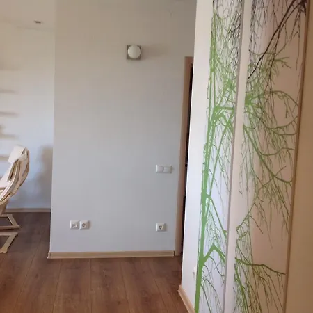 Апартаменти Centro Apartamentai-konarskio Apartamentai *