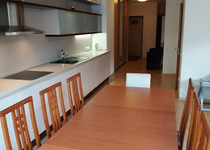 Centro Apartamentai-konarskio Apartamentai Вільнюс